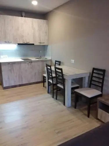 Bakuriani didveli Residence Apt 18