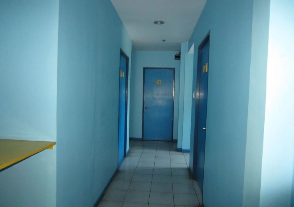 The Blue House