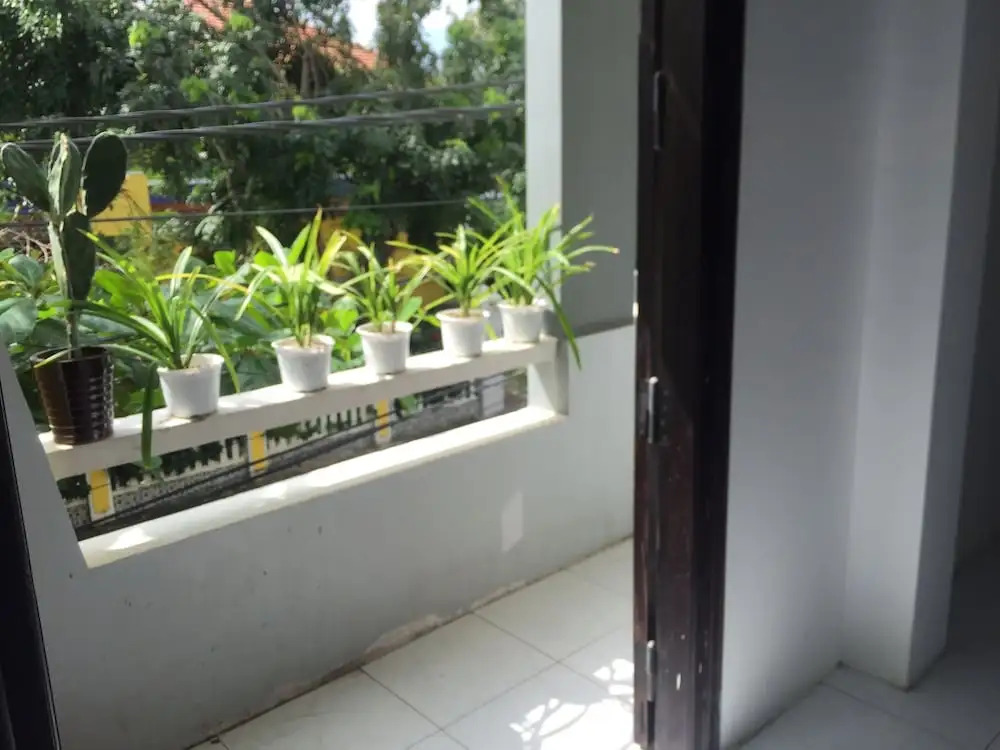 Halo Hostel