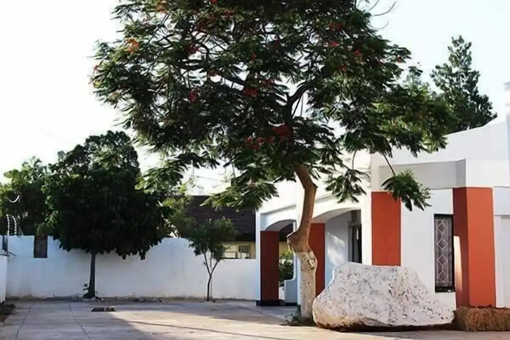 Vintage View Guest House