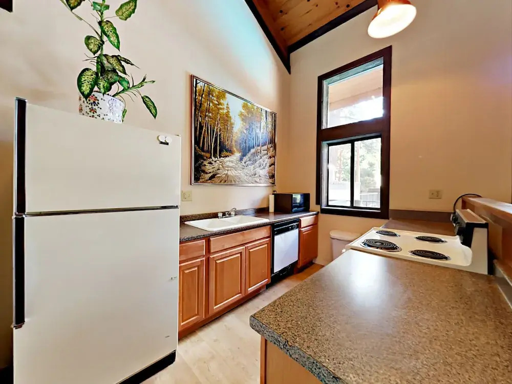 1439 Ski Run Blvd Townhouse E3 2 Bedrooms 2 Bathrooms Townhouse