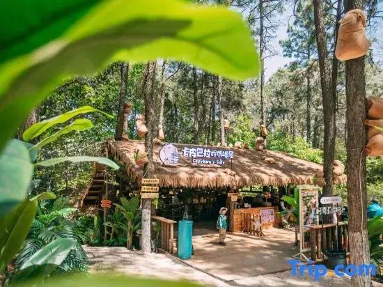 Changzhou Maoshan Forest World Camping Base