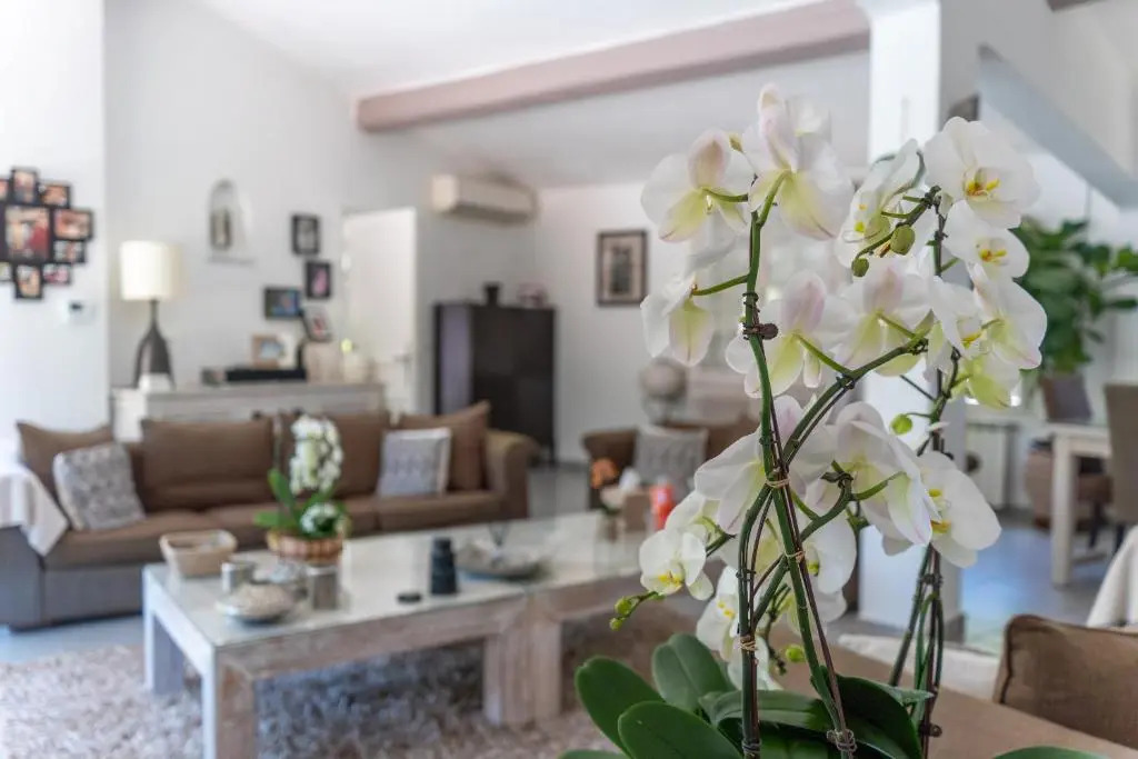 Magnifique Villa 8 Personnes