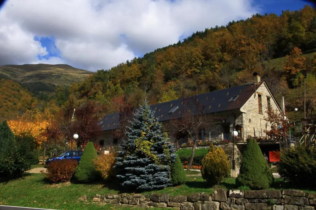 Hotel, Bungalows Y Camping Viu