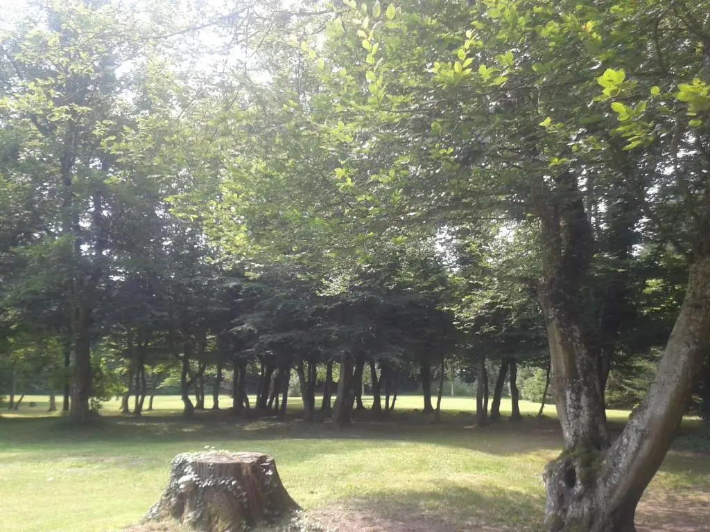 La Passagere