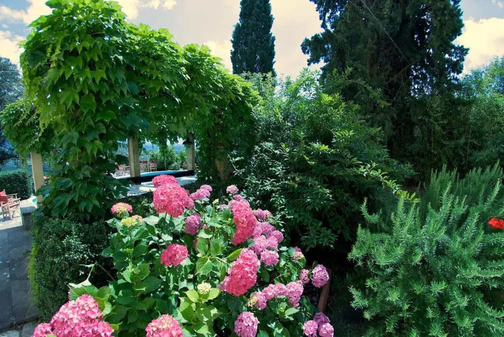 Villa Pedone