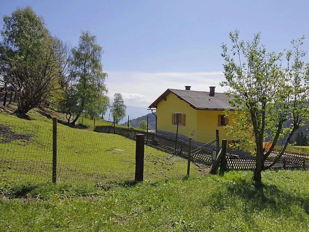 Schonhart