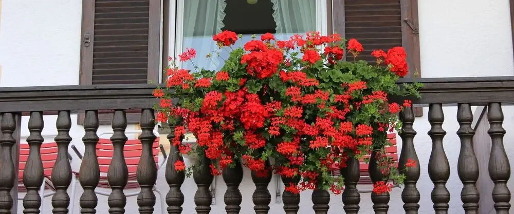 Gastehaus Alpengru