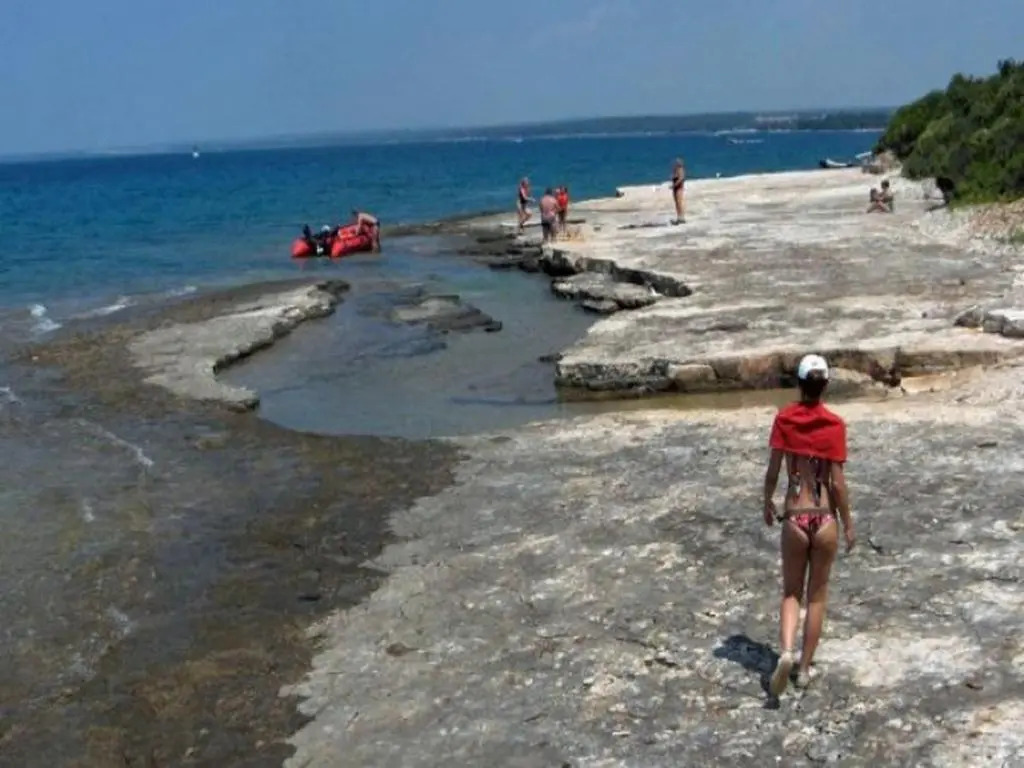Villa Palatium I