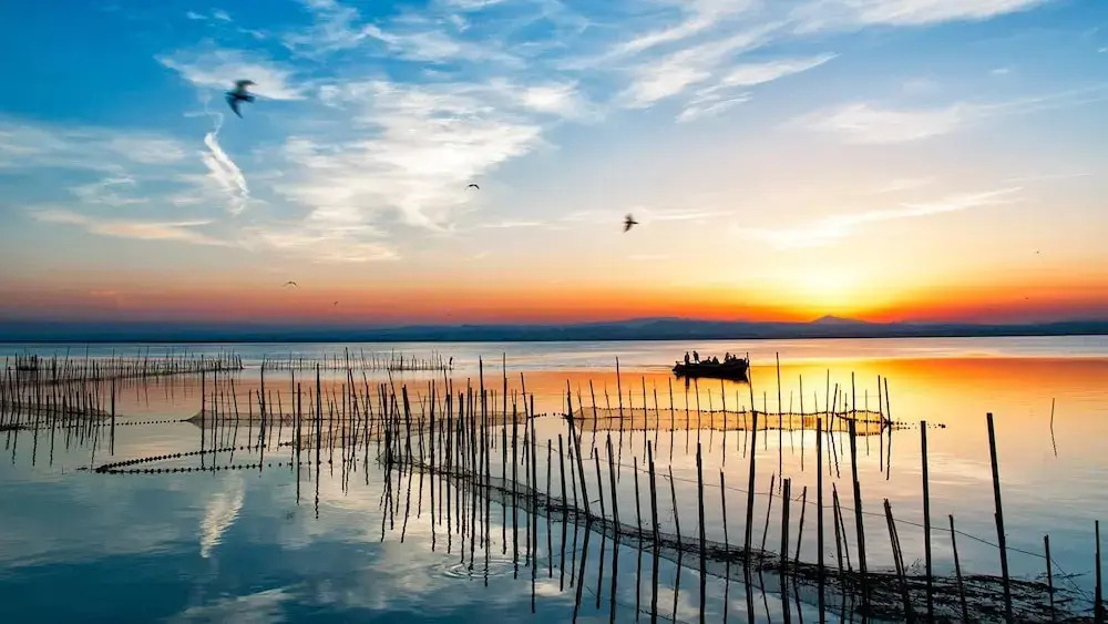 Albufera Dreams Nature Suites