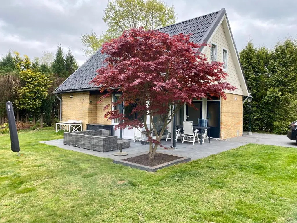 La Casa de Gasselte, een gezellig ruim huis in Drenthe pal naast het bos