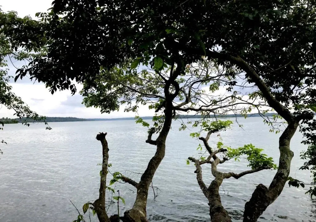 Lake N River Resort Munroe Island By BAGO Retreats