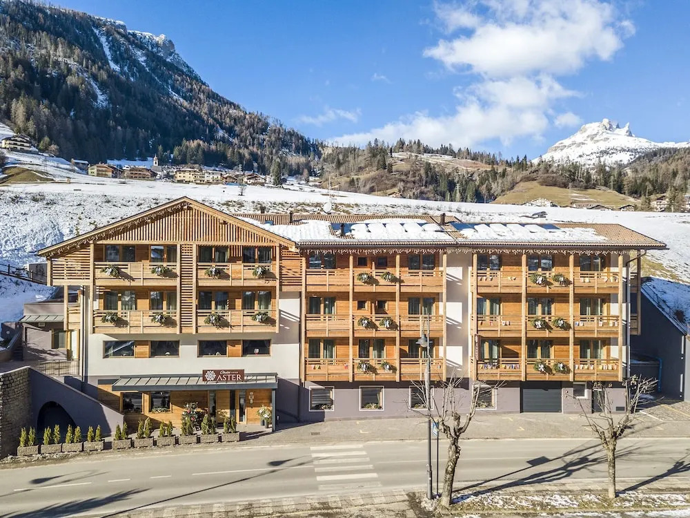 Chalet Aster