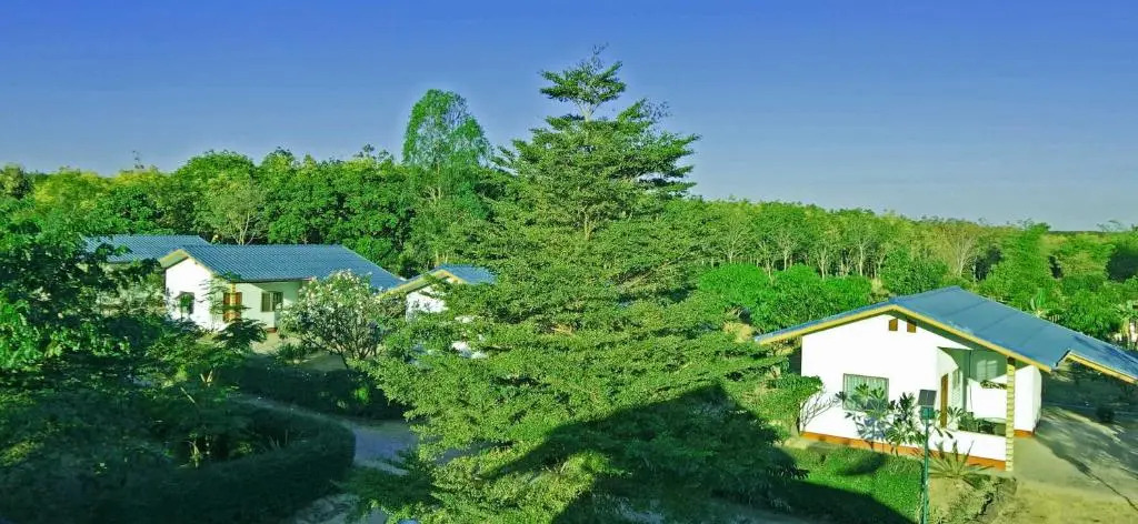 EiDI Homestay