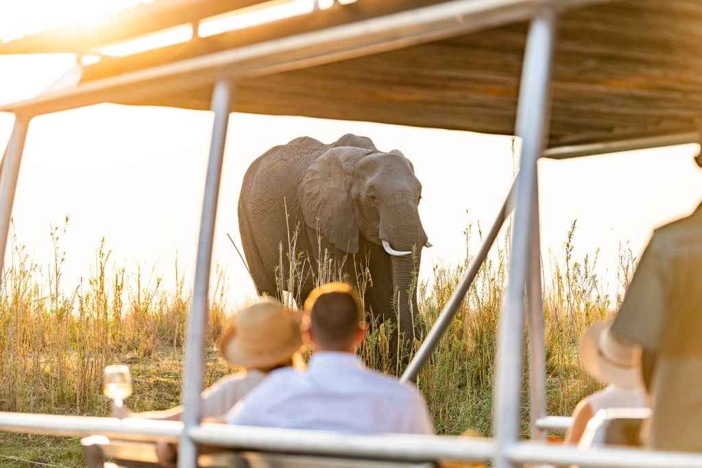 Chobe Water Villas