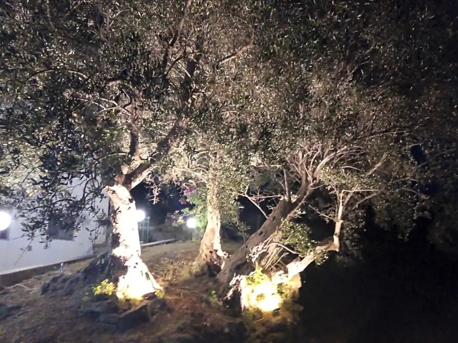 LAntica Quercia B&B