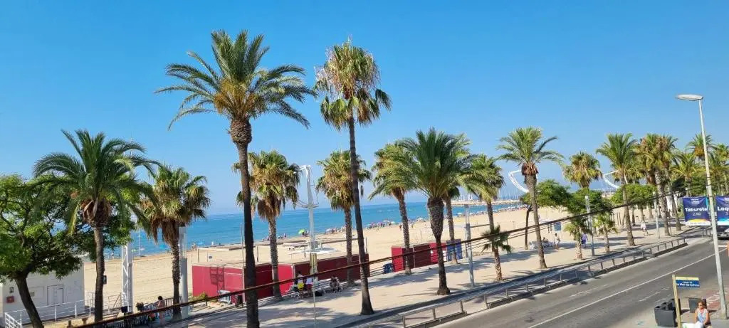 Miramar Serveis - Puerto 1ª Línea