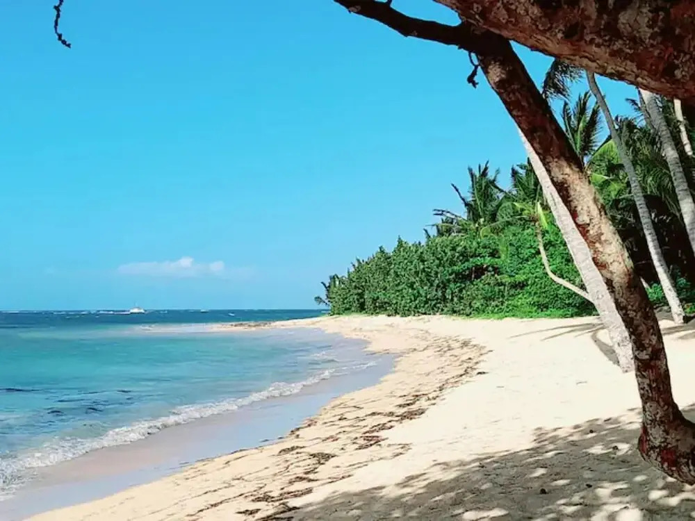 Residence Caribe