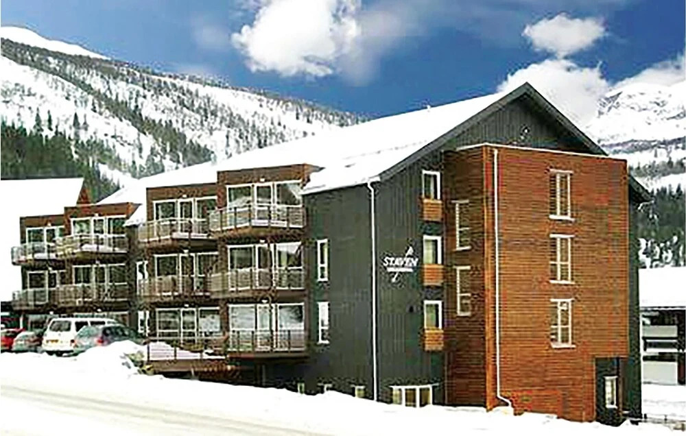 Awesome Apartment in Hemsedal With 3 Bedrooms, Sauna and Wifi