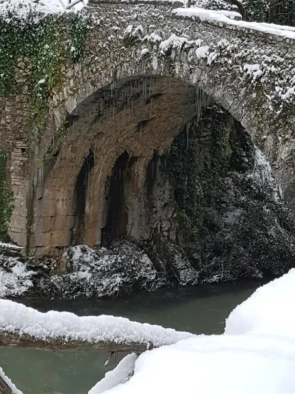 Casa Rosa