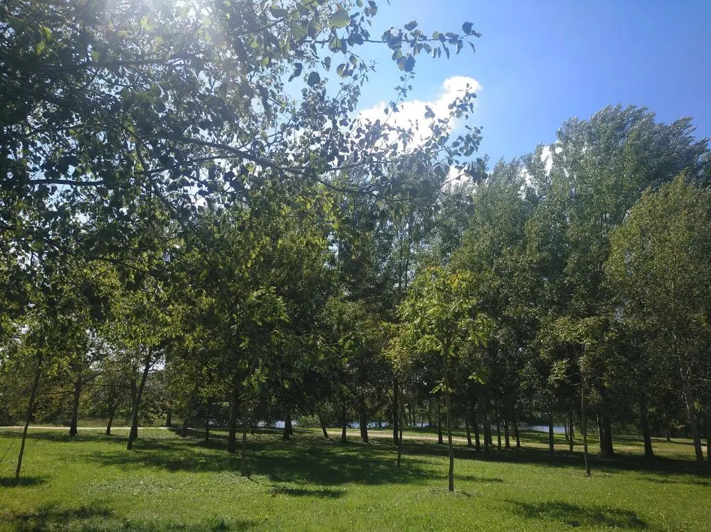 Imperial, 9