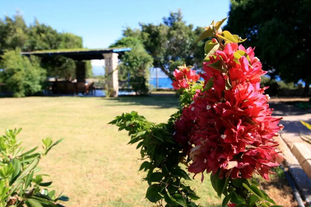Seaside, relaxing family house with playground! Villa Lavrys 4