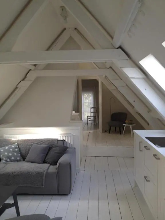 Vlasoven loft