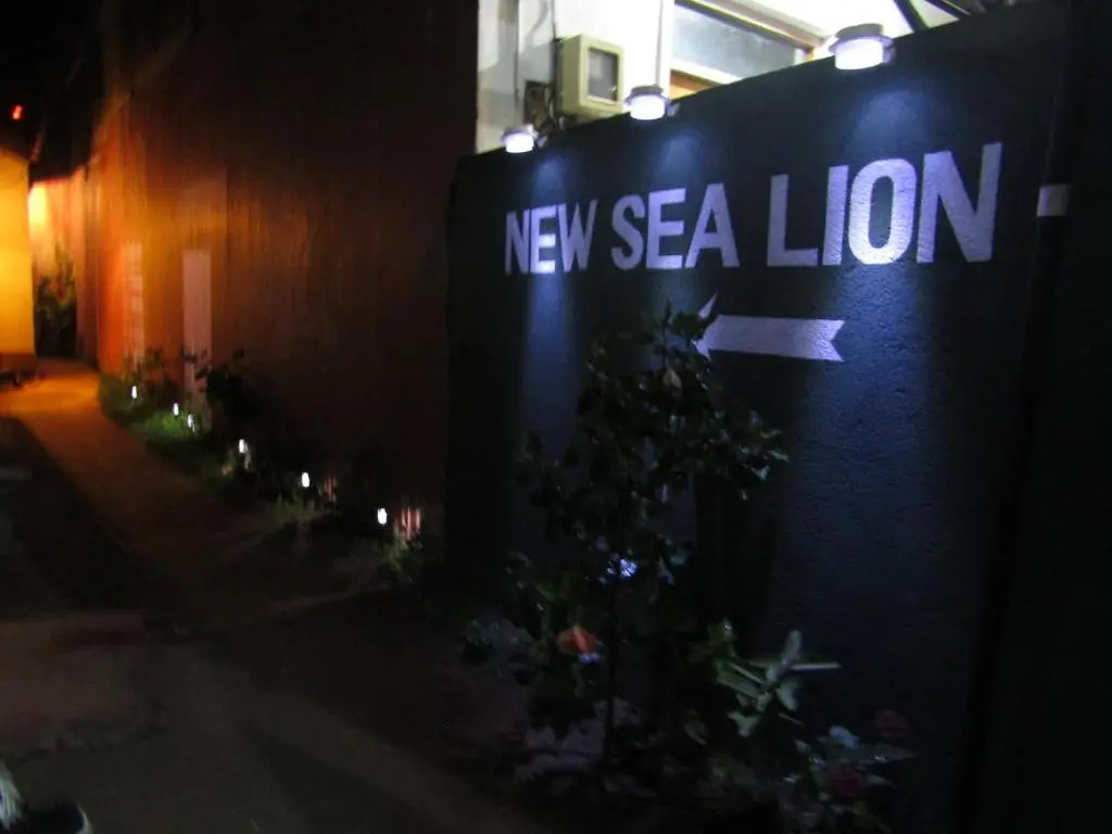 NEW SEA LION Guest House