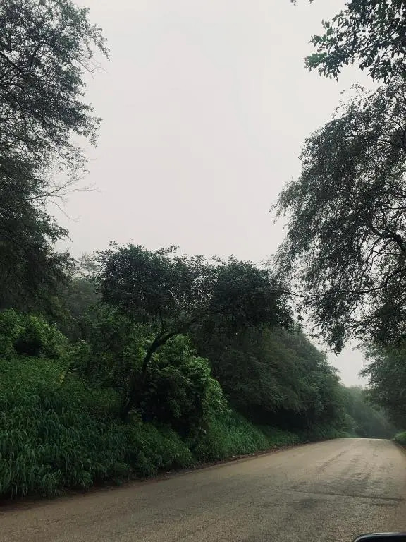 Oman Salalah