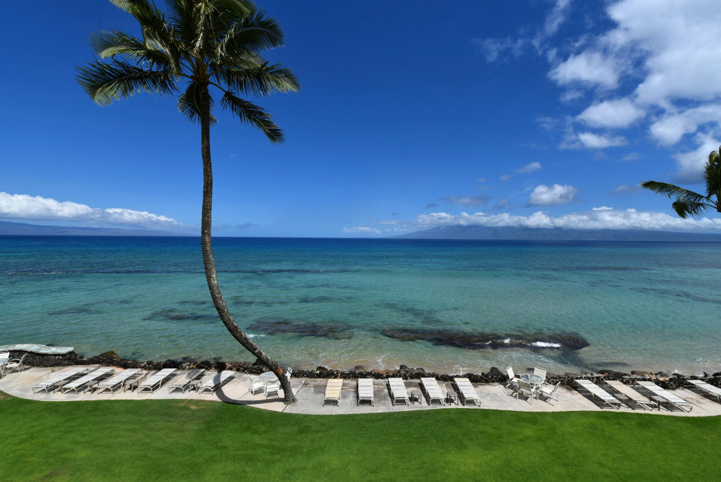 Kaleialoha 409