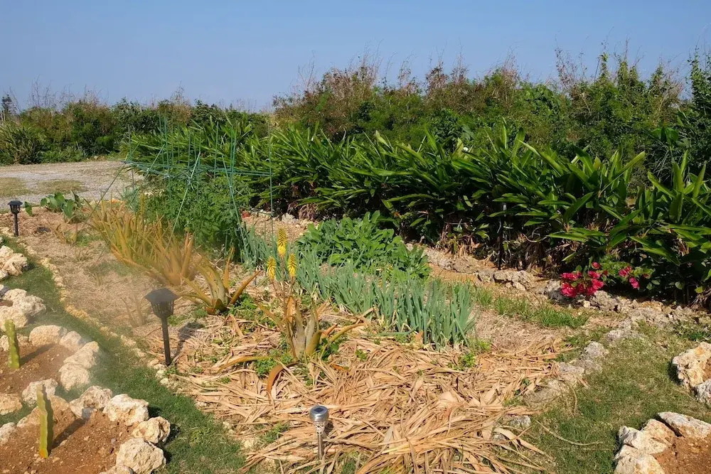 Natural farm ZAMPA