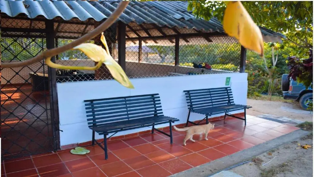 Yoal Hostel