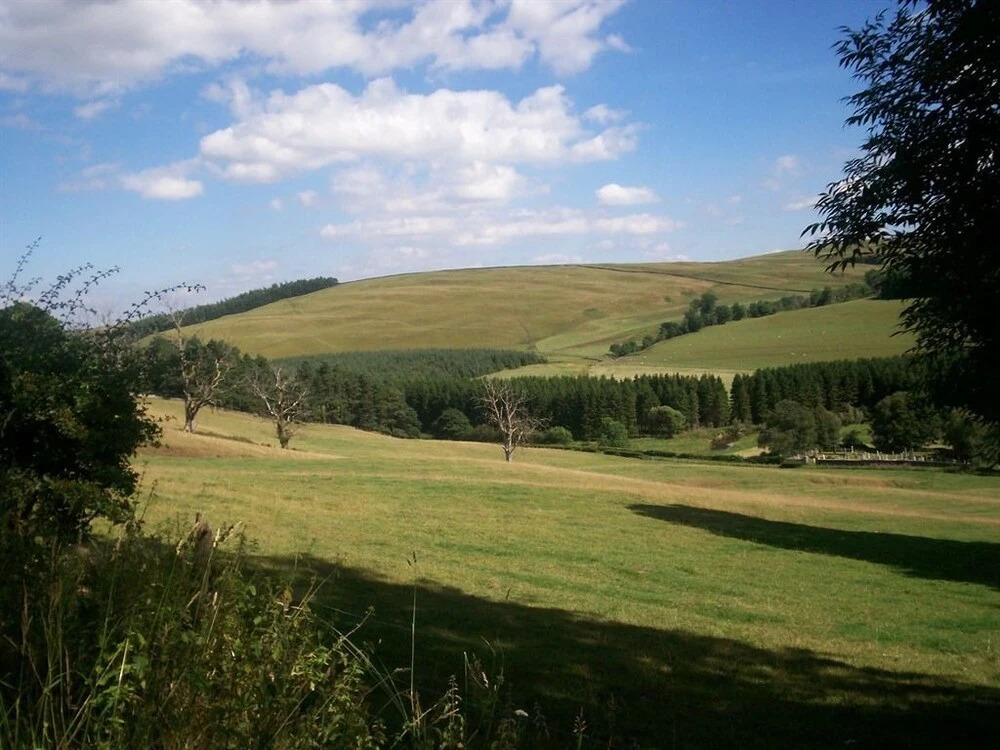 Borthwick View