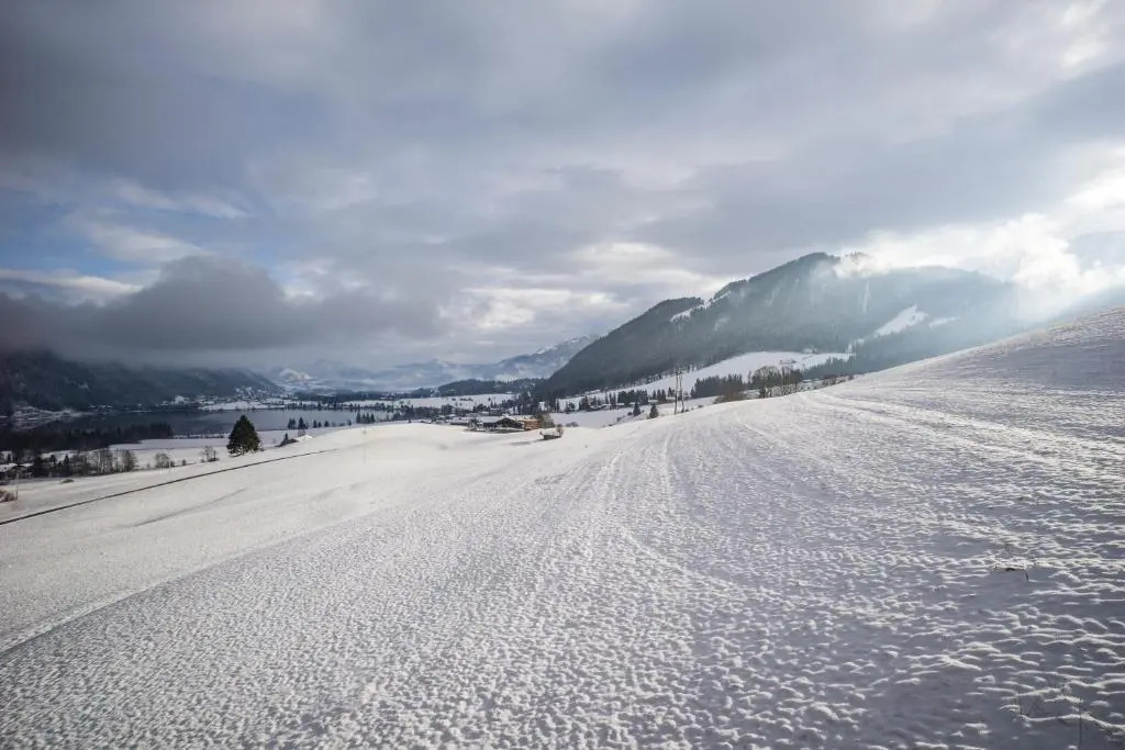 Chalet Strobl