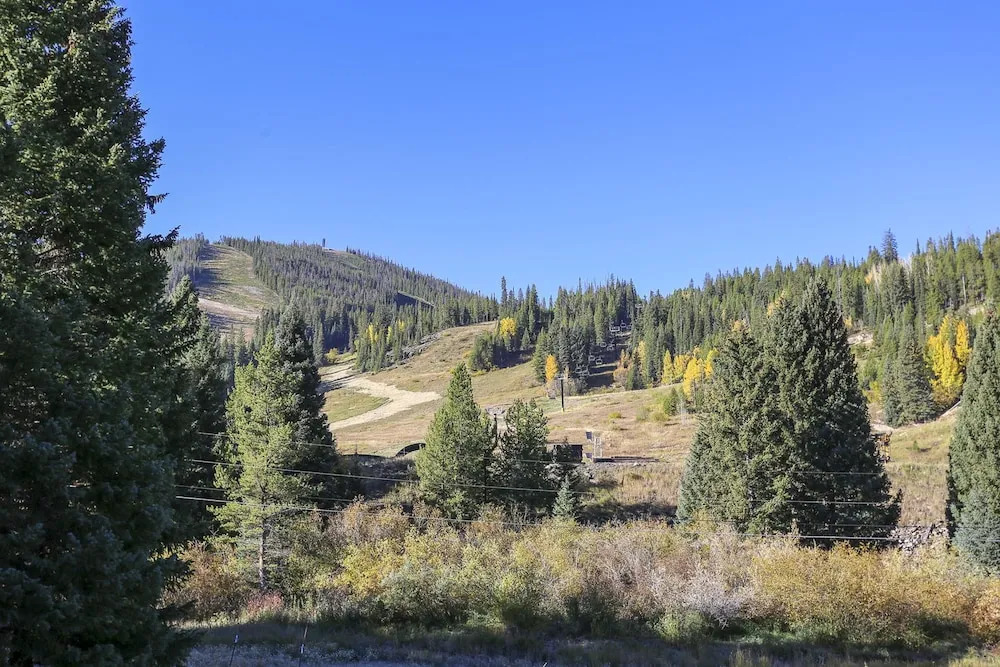 Slopeside Luxury River Chalet by Winter Park Escapes