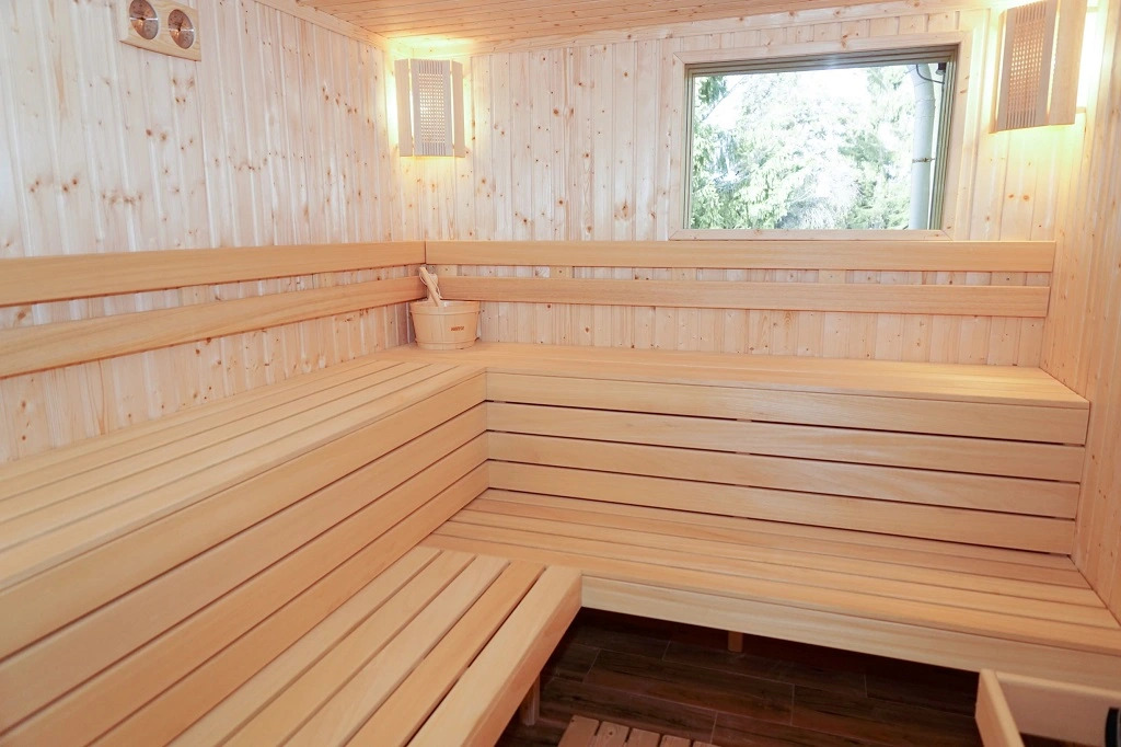 Hotel Bor