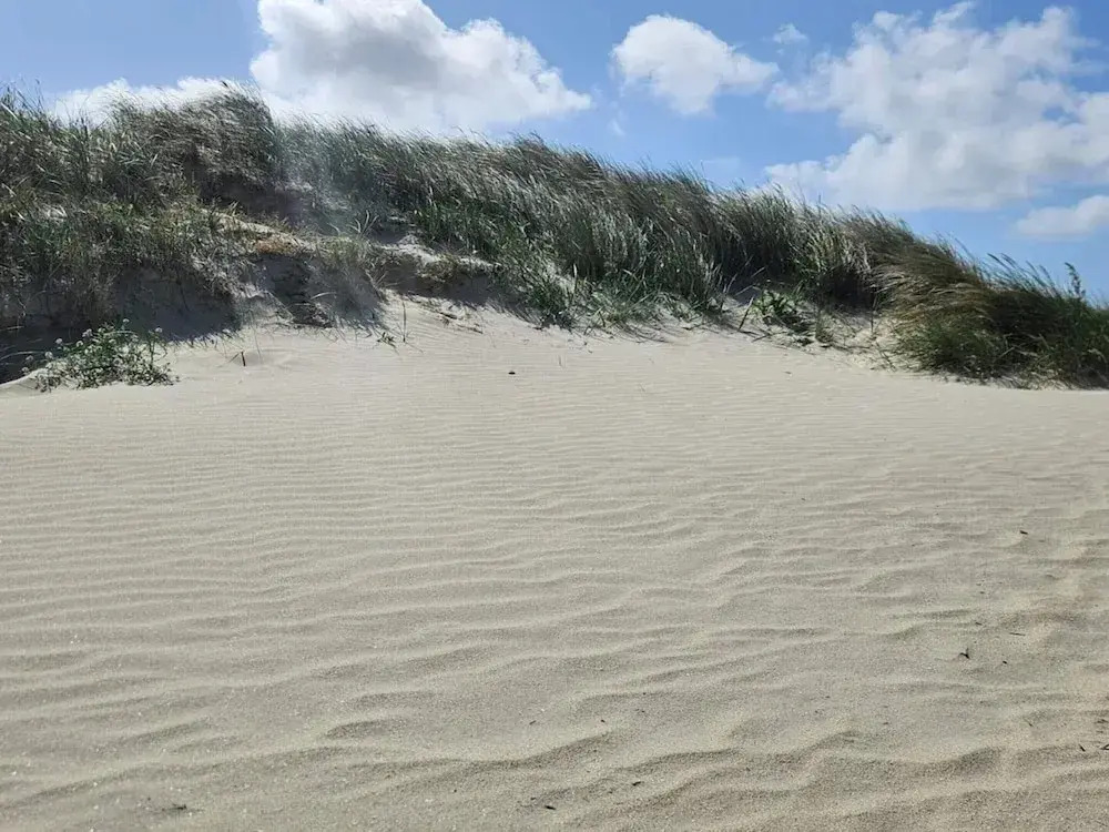 4 star holiday home in Fanø