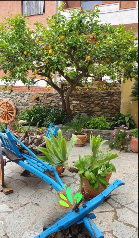 Su Carreri