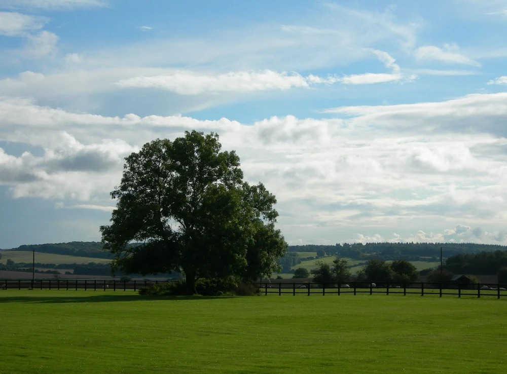 Keepers Cosy, Shepherds Hut , Alresford 491853