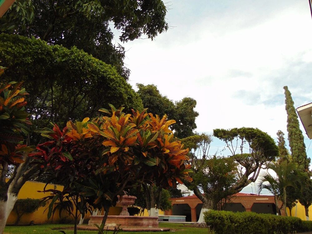 La Quinta de Alito