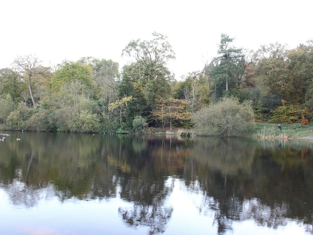 Dromara House