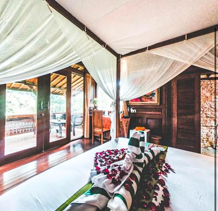 The Jungle Villa