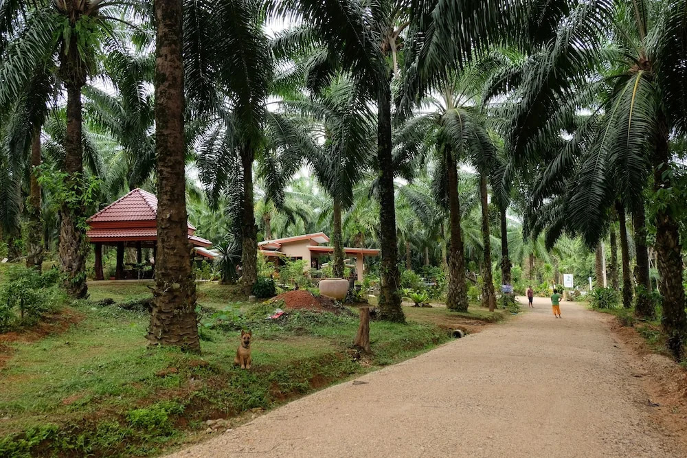 Tonpalm Farmstay
