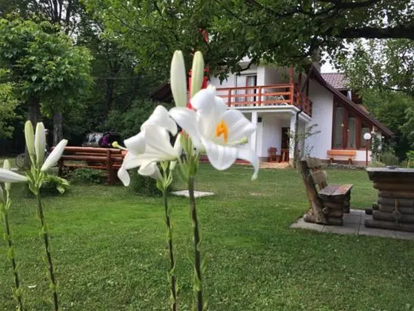 House Samardzic