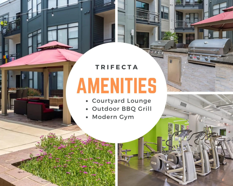 One Bedroom Apartment -10 Min Walk to Epicentre Wifi