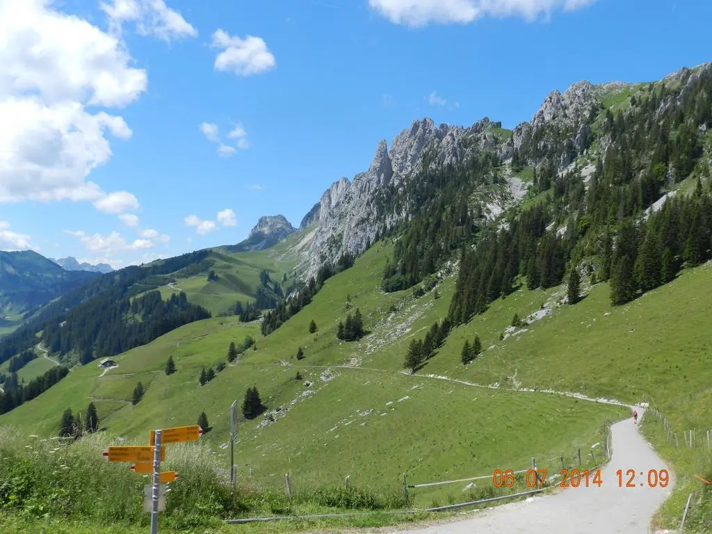 Waldruhe