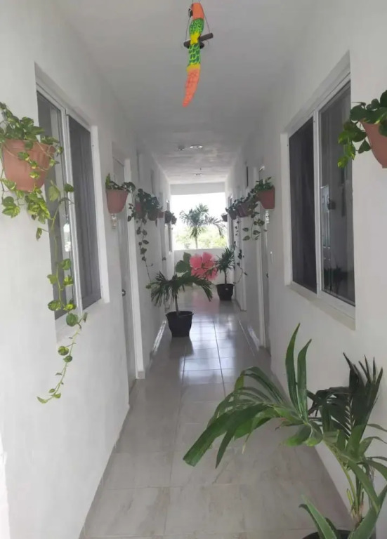 Hotel Las Palmas Puerto Morelos