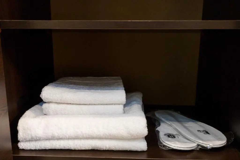 Serviced Apartment on Rustaveli Avenue 8