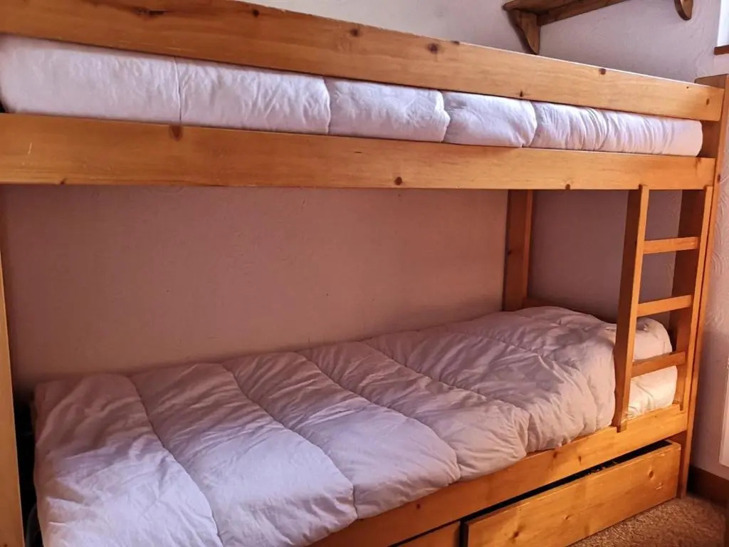 Appartement Notre-Dame-de-Bellecombe, 1 pièce, 5 personnes - FR-1-595-17