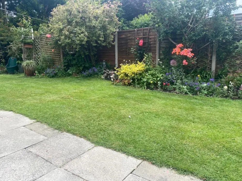 Rose View - Modern detached bungalow